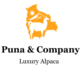 Puna & Company